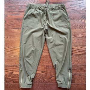 Albion JetSetter Pants Petite